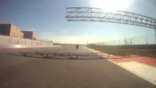 COTA on the Biscuit