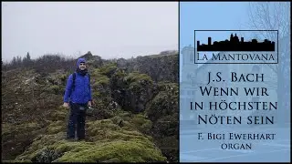 J.S. Bach: Wenn wir in h&ouml;chsten N&ouml;ten sein BWV 641 (F. Bigi Ewerhart)