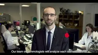 Laboratoire Français de Gemmologie Paris - Vidéo de présentation