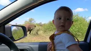 Olifants Rest Camp Chalets with the best view. Kruger National Park