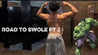 Road to Swole Part 3 | Legs, Biceps & Back | Arm Day Son 