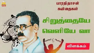 சிறுத்தையே வெளியில் வா | பாரதிதாசன் கவிதைகள் | தமிழ் நதி | UNofficial Tamil