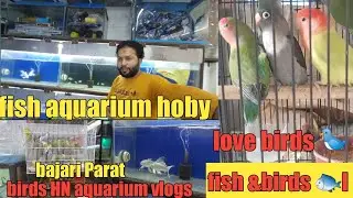 Fish & birds 🐦 HN aquarium,my new vlogs aquarium hoby,charly vlogging no 1,