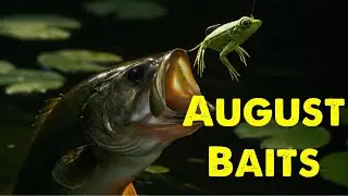 August Techniques   My favorites for bottom baits