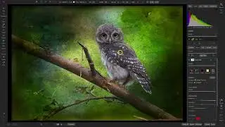 Как смешивать текстуры на фотографиях