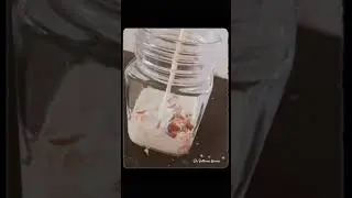 Healthy Oats Drink. #health #oats #oatsrecipe #healthydrink #healthydiet #diet #lifestyle #doctor