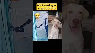 Funny Rio | Aur karo dog se masti I #funny #rio #comedy #shorts