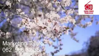 Radio Vihor Mladenovac Uzivo