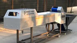 Resma-Z210 Zeytin Renk Ayırma Makinası - Pehlivan Mekatronik