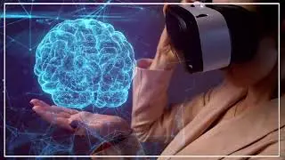 Quantum Brain Dynamics: A Roadmap to the Future