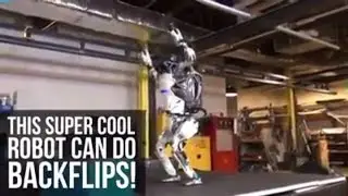 BACKFLIP Robot