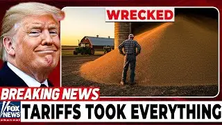 Farm Belt Crisis: Trump's Trade War Fallout