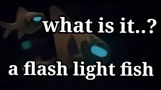 lantern eye Fish | Flash light Fish | Animal world