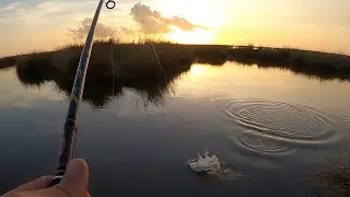Bank Fishing For Redfish, A Funny Story