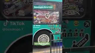 Caio mondego h metbus micros amarillas dia del patrimonio 2025 💙 #santiagodechile microbuses.cl🇨🇱❤️