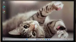 Как проверить характеристики устройства и Windows на ACER Aspire 3