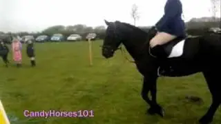 From the beginning. Lana Hughes & BlackJack.