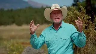 The Legacy of the Arizona Trail: A Journey Through History and Nature
