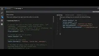 Solucion Error PHP Visual Studio Php php.validate.executablePath