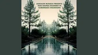 Alrealon Musique Presents: Rain Sounds Recorded in Adirondack Mountains