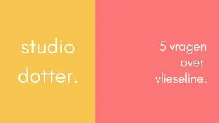 5 Vragen over Vlieseline