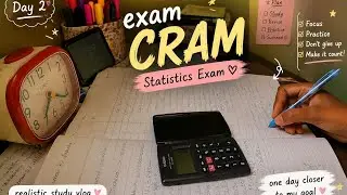 Day 2 of Exam Cram 📚 | Realistic Study Vlog for Statistics Exam