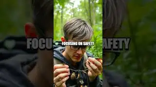 Secrets of Insect Foraging in Survival