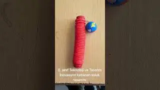 Teknoloji ve tasarım inovasyon &ouml;ğrenci &ccedil;alışması