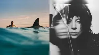 Dua Lipa & Lady Gaga - Houdini x Abracadabra (Mashup) [Music Video]