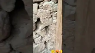 Desi#chaki# shorts #viral