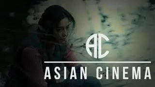 Asian Cinema Collection Part 4