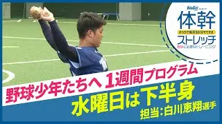 毎日10分で野球上達！水曜は「下半身」トレーニング！