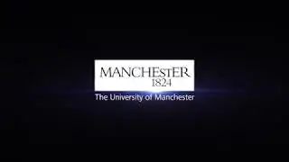 University soars up Workplace Equality ranking