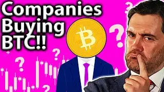 Companies BUYING BITCOIN!! What To Look Out For!! 👀