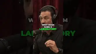 Unlocking Human Scent Detection: What We Learned #shorts #joerogan #andrewhuberman #podcast #jre