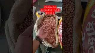 best quality peanuts sing Dana price and details