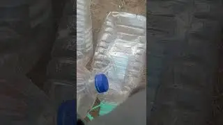 Évzáró és kerti mokázás
