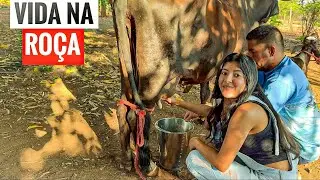 N&Atilde;O IMAGINA QUE VIVERIA ISSO TUDO | FUI PARAR NO RIA A MEIA NOITE. 🐄