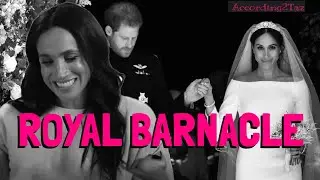 ROYAL BARNACLE - Hanging Onto That Title By Tooth And Nail 👑