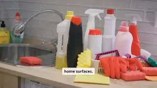 Branch Basics &mdash; Simplifying Home Cleaning Through Versatile Concentrates