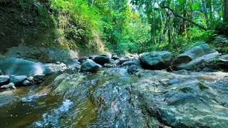 Calming River Flow Sounds for Sleeping Peaceful Water Ambience Deep Night Rest