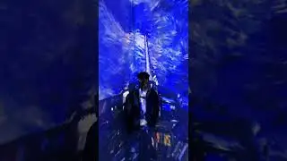 Vincent van gogh 360&deg; 