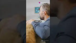 AITA for Refusing to Adopt My Late Friend&rsquo;s Dog?