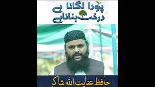 Cheapest Nursery Plants ||Rare Plants |pody lagana hadees | insaniyat | Pakistan Daily Vlogs | 2024
