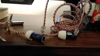 Shouer Singer IEM