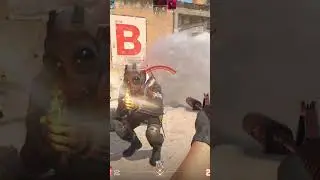 cs2 moments #cs2 #valvecs2 #pcgaming #gaming