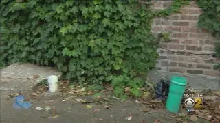 Woman Pays Plumber To Fix Sewage Backup, Only To Find Out It Was On City Property