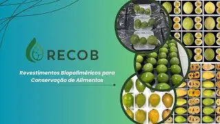 Pitch Deck RECOB 2025