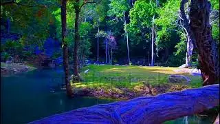 3 hours of amazing scenery nature #success