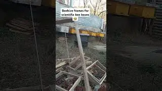 beehive frames for scientific bee boxes 🐝 #beekeeping #beehive